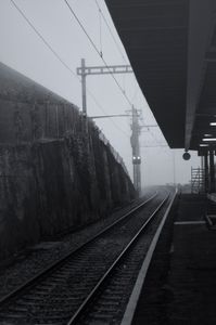 FOG VIII