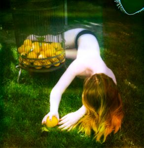 Don't Drink the Lemonade