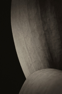 Tulip Leaf