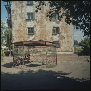 From the series "Endless summer"