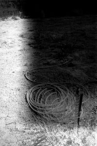 Untitled(Shadow)