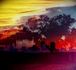 Battlefield Oak, St. Bernard Parish, Louisiana - Double Exposure with Downtown New Orleans