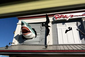 prey