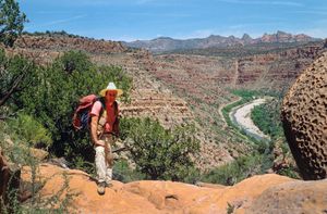 Self-portrait, Cottonwood, Arizona, 1994