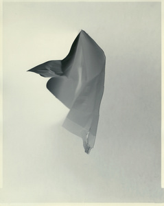 Paper negative 18