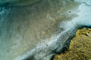 Lakeshore Operations | Ground Level Series #04
