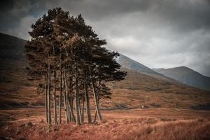 Autumn burns