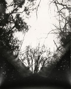 Positive II from PCL_03, Gelatin Silver Print, 2012© Ross Faircloth