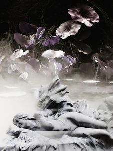 © ANNE-MARIE ARBEFEUILLE