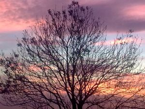 Ditchling sky 1