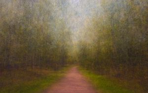 Path 15, 2011