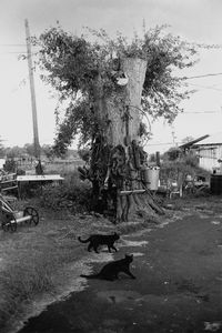 Mississippi, 1993 © Peter Kayafas