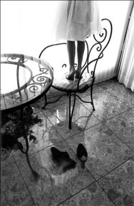 High Heels, from the Series 'The Playing House'  1999 © Hyo-jin In
