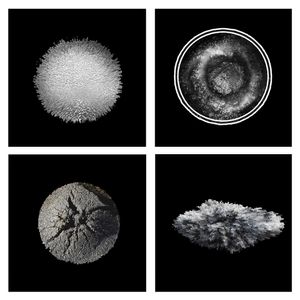 cosmos I_11