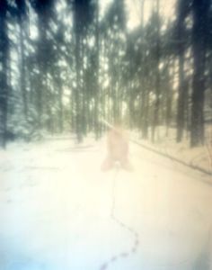 untitled, 2012; archival pigment print from large frormat pinhole negative   © DM Witman