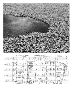 Raquel García-Tomás