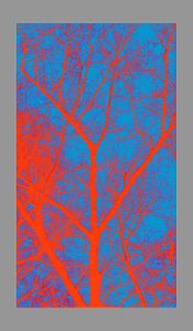 Burning Tree