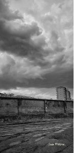 Stanza Privata Disponibile