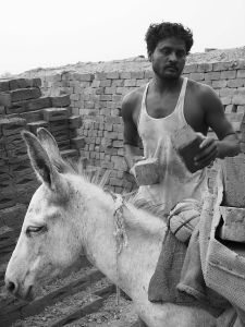Brick Hauler