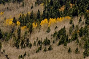 Mount Taylor, NM
