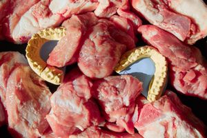 teeth and meat