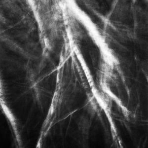 untitled 16