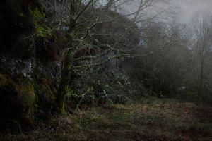 Loch Ardinning 3