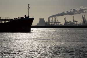 Maasvlakte