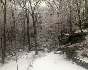April 19 about 8am