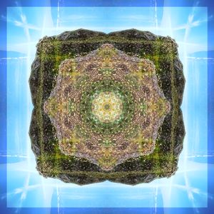 Sonoma Coast State Park: Duncan's Point