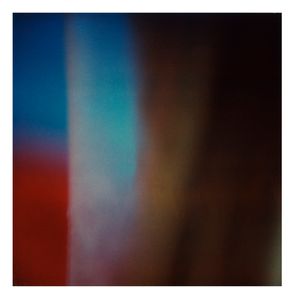 Twilight | The Secret Life of Plants IX