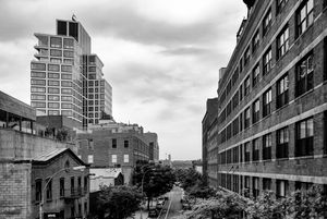 New York High Line #07