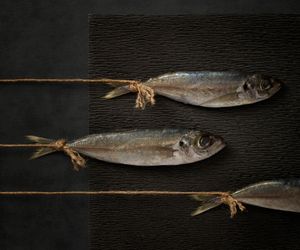 Food Photography
