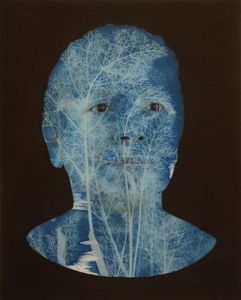 Eva with Foeniculum Vulgare (Fennel)  impression, 2012, from the series Natural History. Unique cyanotype on archival pigment print, 16” x 20”