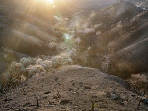 Kanan Dume Road (2223)
