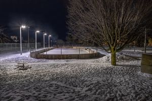 Owl Park Rink