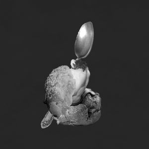 SPOON