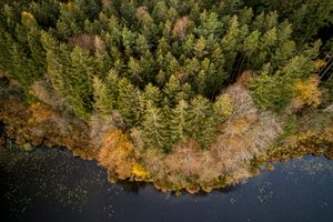 Lakeshore Operations | Fall Series #08
