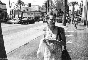 Hollywood Blvd
