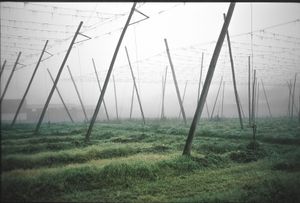 Captured analogue on slide film.