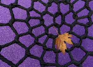 stars and leaf