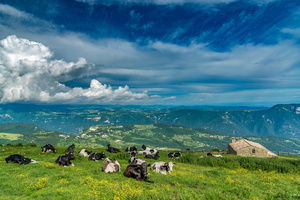 monte baldo