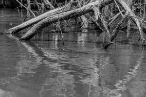 Floating in wait