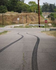 Skids