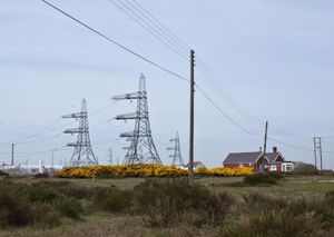 Cottages at Dungeness