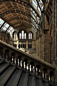 national history museum