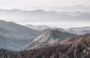 Smoky Mountain Air