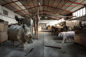 Respect Animals