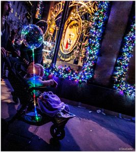Strolling through a Wonderland by Night