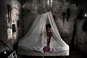 Raiz oscura